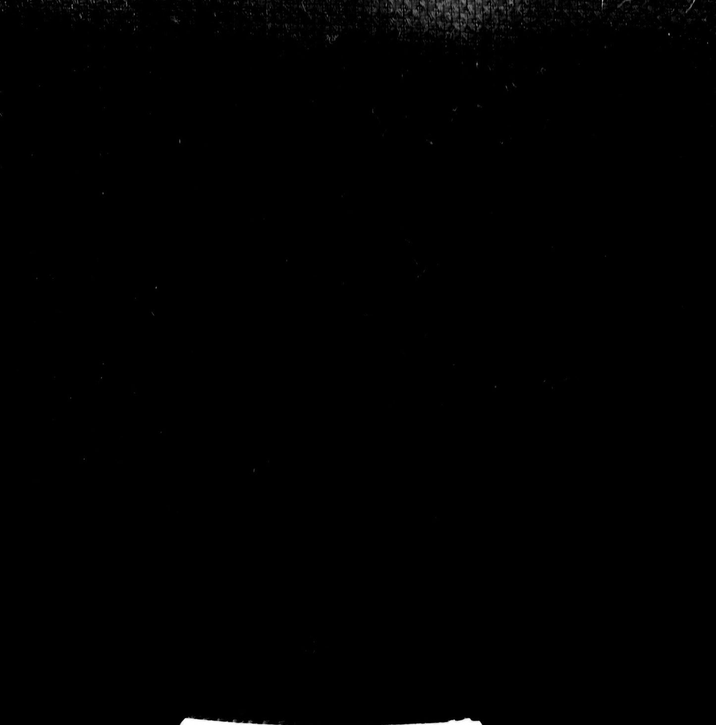 NS 29