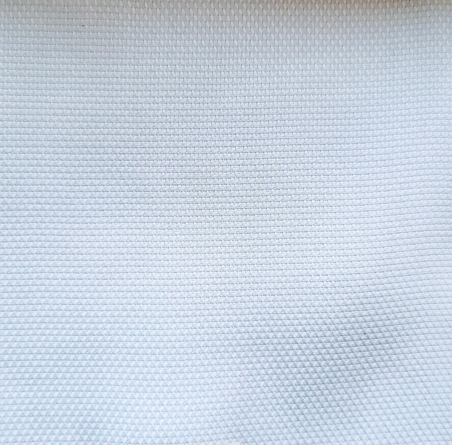 Tailored Shirt